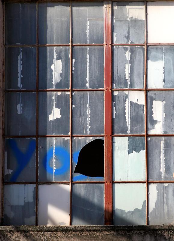 Broken window