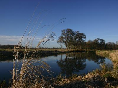 Weyside Reflections