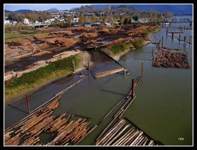 The working river - log sorting on the Fraser