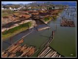 The working river - log sorting on the Fraser