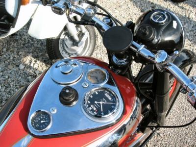 u49/clove/medium/36392825.guzzi002.jpg