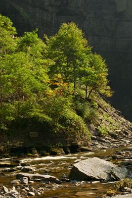 Taughannock Creek #2