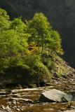 Taughannock Creek #2