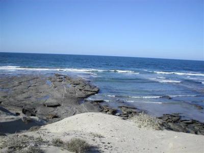 Beach-YUCK.jpg