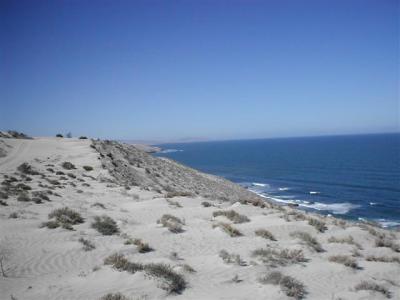 Exploring East of camp 2.jpg