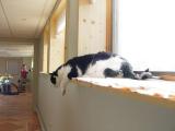 DSC06935.JPG