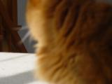Sit Still! #2<br>November 23, 2004
