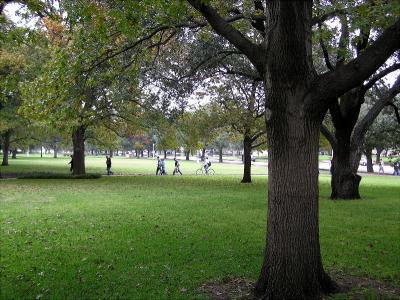 TCU Campus