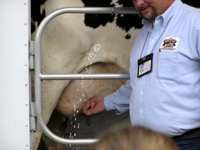Got Milk?