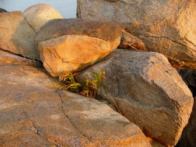 six AM sun on the rocks--Rockport Headlands
