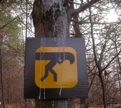 spruce gum protector