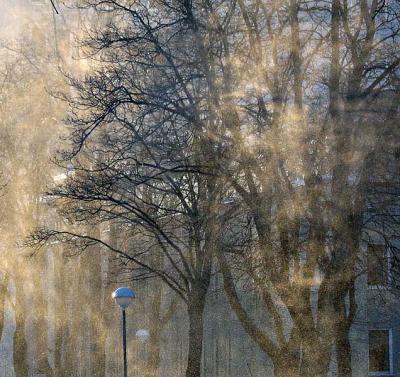 10th PlaceFace of the Wind *by Alexeig