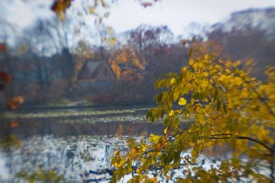 * Stumbling Upon the Cottage from a Fairytale