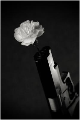 9th Place...the silence of guns*by designboy