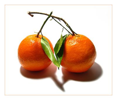 Oranges In Love*