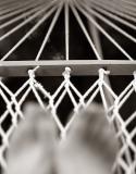 Convergence by CindyD*