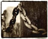 <b>6th Place</b><br><i> Iron and Wood <br>by Jon Stern</i>