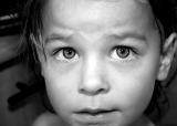 <b>9th Place</b><br><i> Worried <br>by Scott</i>