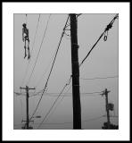 Breakdown in Lines of Communication * by Jonathan Nissanov