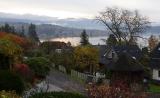 <b>9th Place</b><br>Looking Out My Window (*)<br><i>by Ann Chaikin</i>