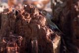 * Pueblo Village - for Ants!