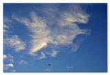 <B>Sky Riding</B><BR>(*) Noel Carboni