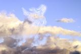 Life Everlasting (*)