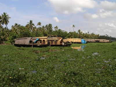 Alappuzha