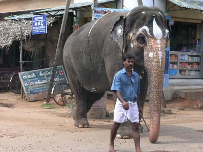 Thanjavur