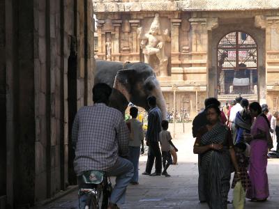 Thanjavur - Brihadeeswarar Temple