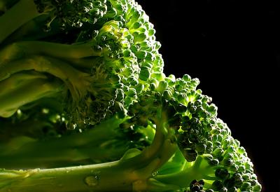Broccoli *