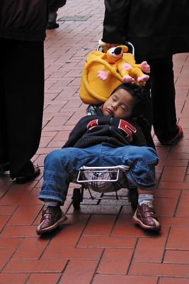 3rd Place (tie)Couching Tiger, Slouching Draggin' *