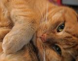 Eyes Are The Mirror Of The Soul *