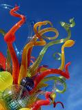 Glass Flower (*)