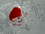 liquid and solid (*)