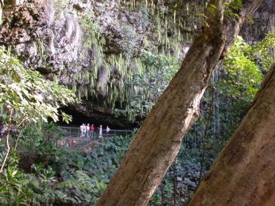 Fern Grotto First View