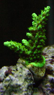 IMG_7029.JPG