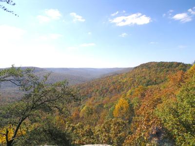 Caney Fork in Autumn