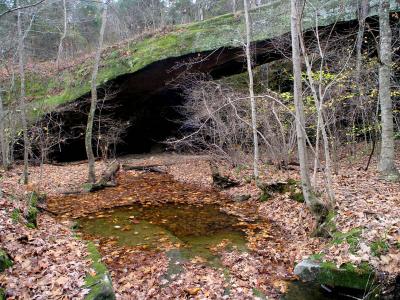 u49/darklightimagery/medium/35830059.MantleRock01.jpg