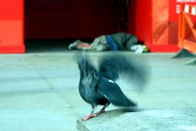 IMG_8960.jpg