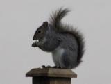 Child on a Pedestal