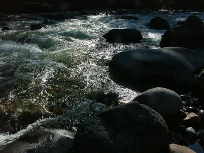 Along the South Fork of the Merced, Wawona (Yosemite)