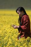 Face of Tibet