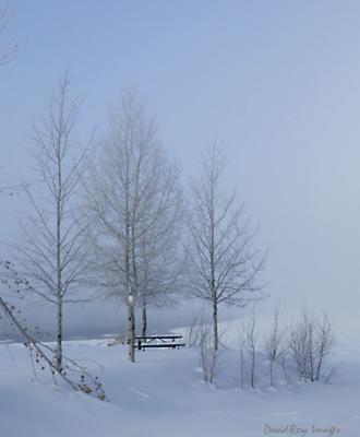 Big Bear Snow 2