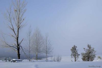 Big Bear Snow 3