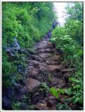 Kalalau Trail - Rocks & Mud (Lots of it!)