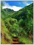 Kalalau Trail