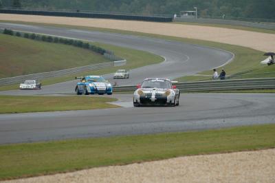 u49/dboyles/medium/34892796.DSC_8891.jpg