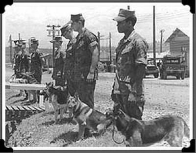 Fallen Marine Scout Dog Handler Services May 1970.jpg