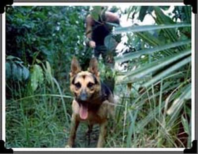 Training in the 39th IPSD